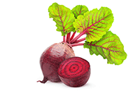 beet